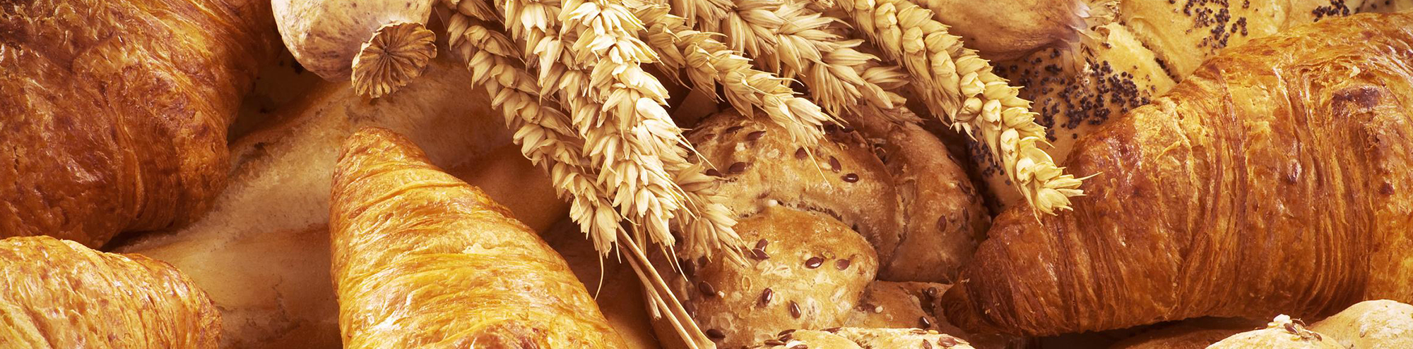 bakery_breads